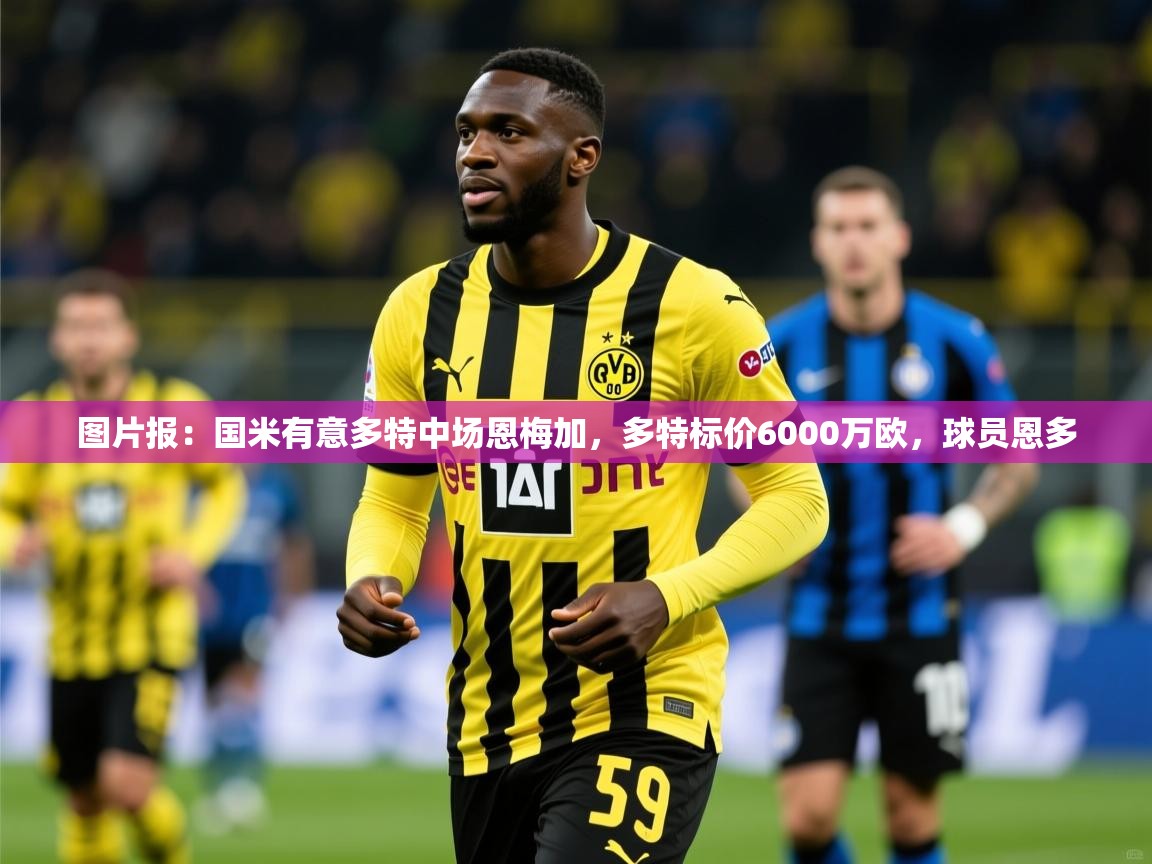 2025乐鱼体育app登录入口图片报:国米有意多特中场恩梅加,多特标价6000万欧,球员恩多 第4张