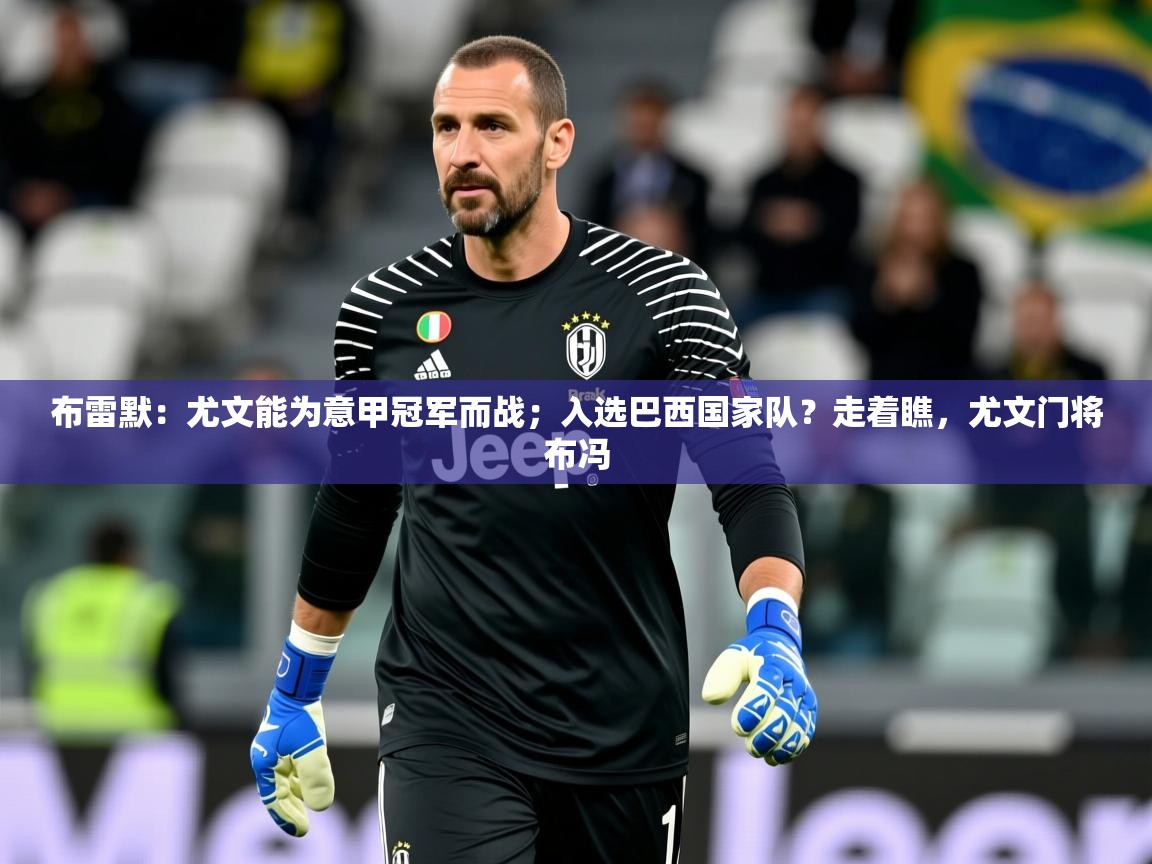 2025乐鱼体育在线官网布雷默：尤文能为意甲冠军而战；入选巴西国家队？走着瞧，尤文门将布冯  第1张