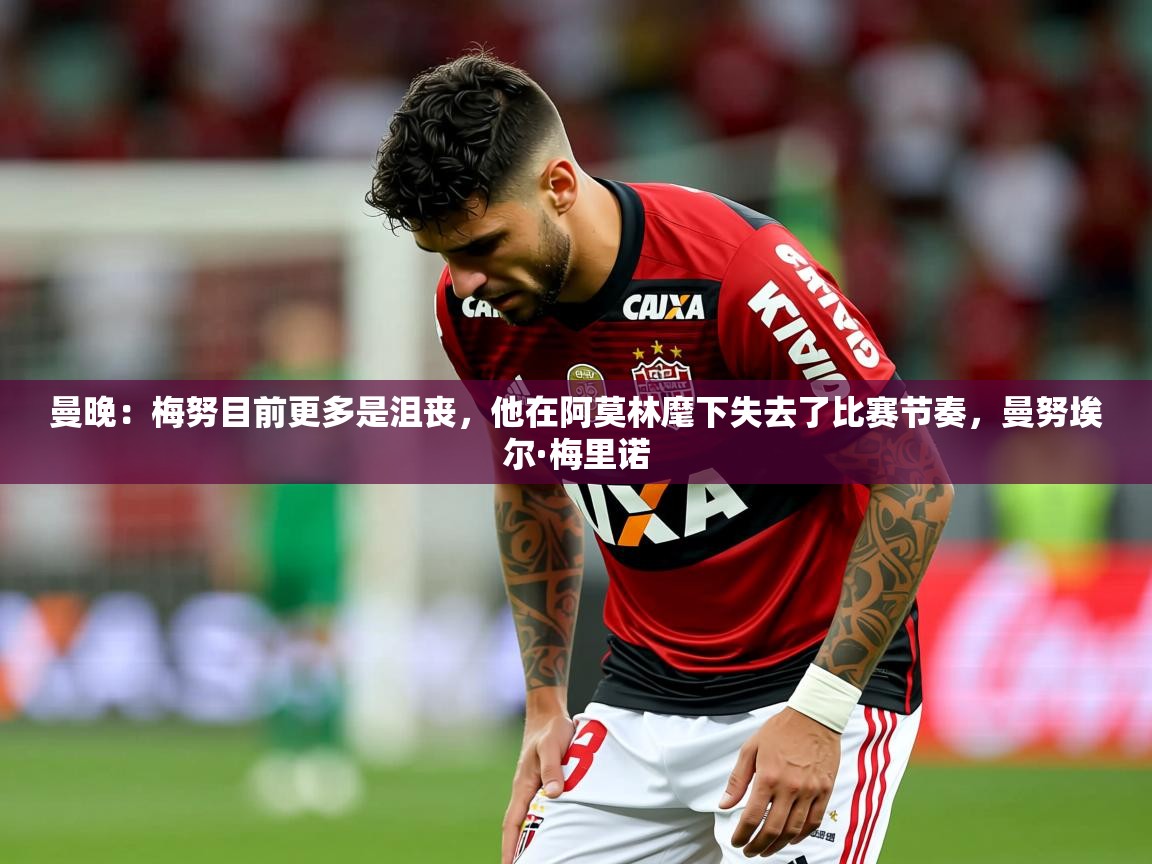 2025乐鱼体育下载曼晚：梅努目前更多是沮丧，他在阿莫林麾下失去了比赛节奏，曼努埃尔·梅里诺  第4张