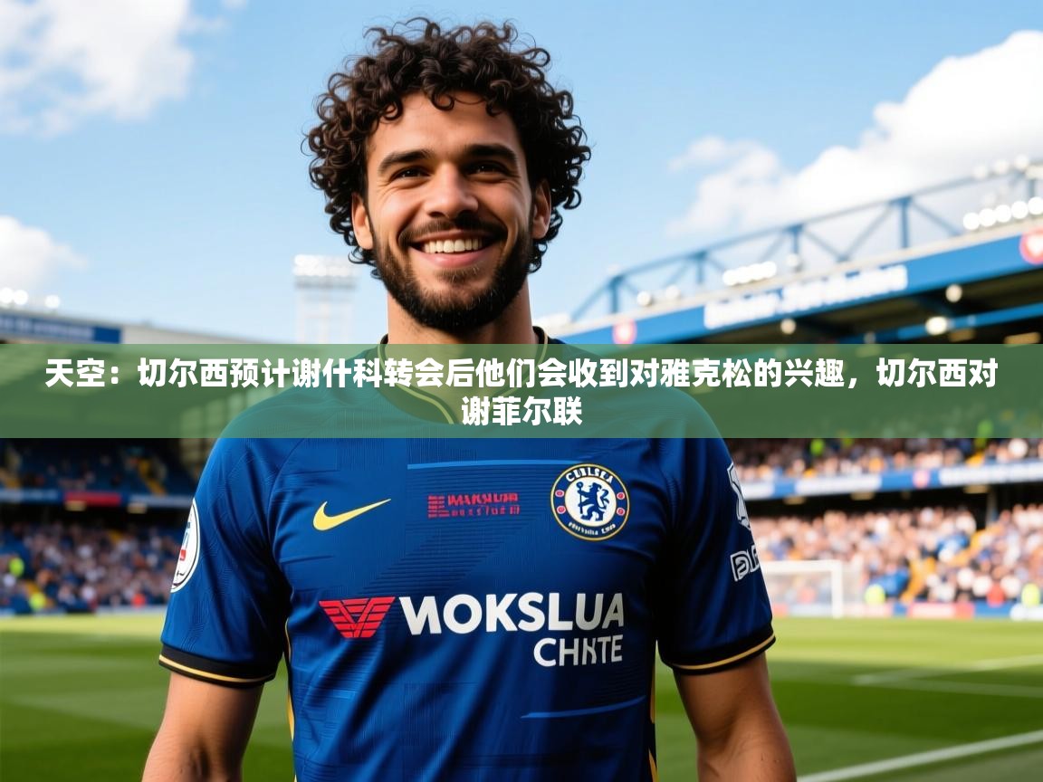 2025乐鱼体育在线平台天空：切尔西预计谢什科转会后他们会收到对雅克松的兴趣，切尔西对谢菲尔联  第2张