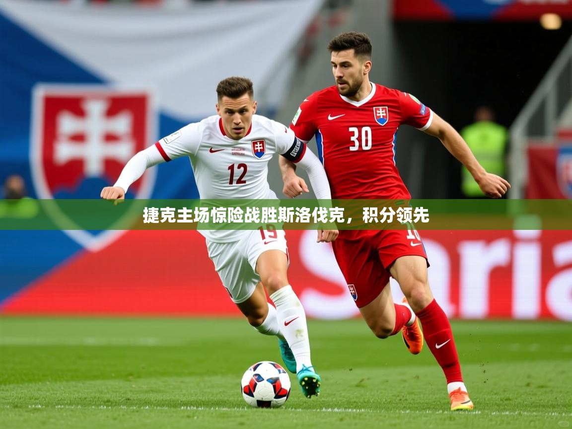 2025乐鱼体育在线下载捷克主场惊险战胜斯洛伐克，积分领先  第3张