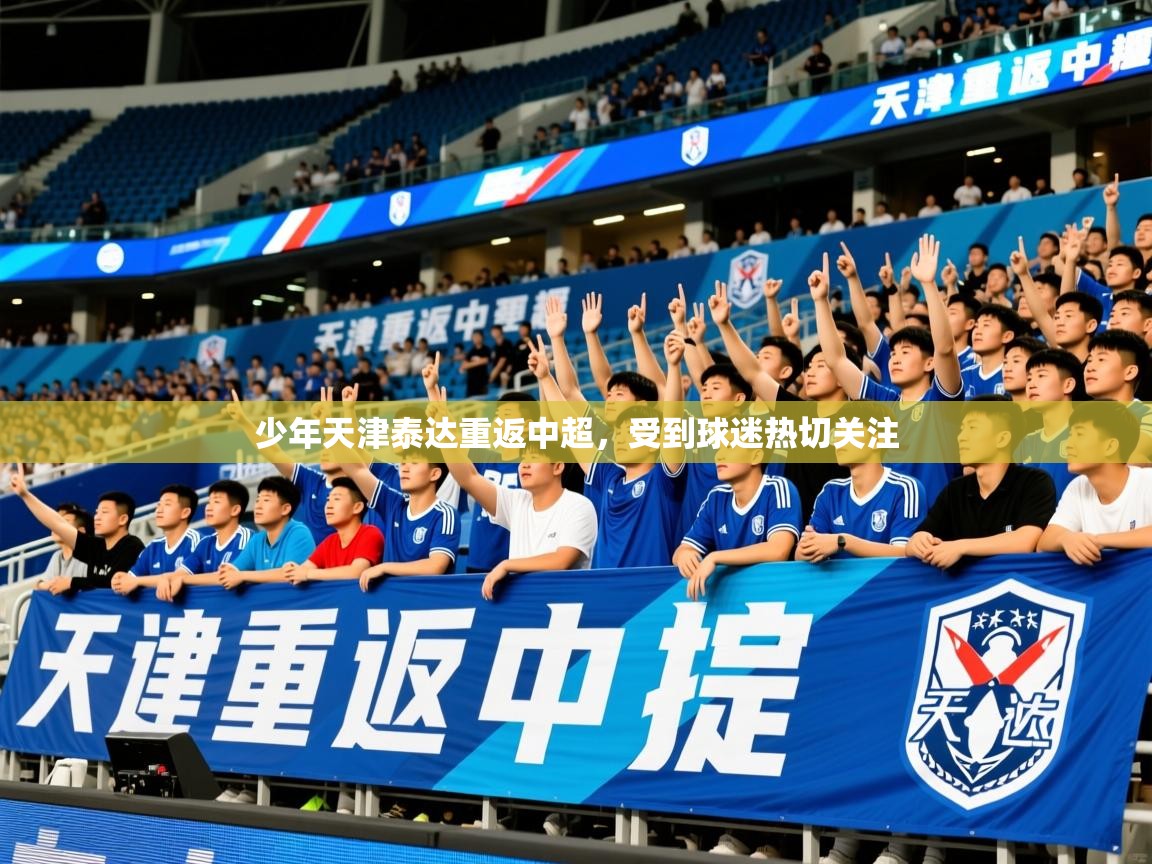 2026乐鱼体育在线登陆少年天津泰达重返中超，受到球迷热切关注  第3张