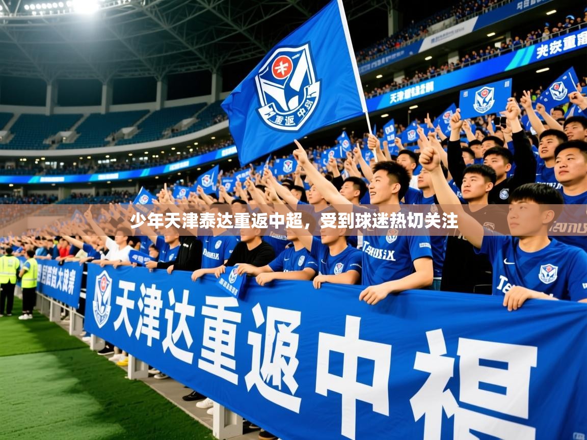 2026乐鱼体育在线登陆少年天津泰达重返中超，受到球迷热切关注  第4张